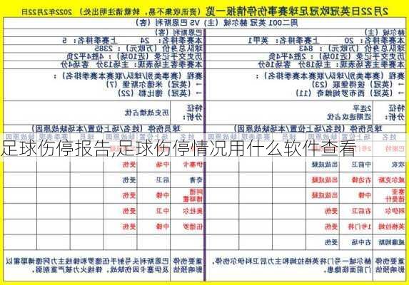 足球伤停报告,足球伤停情况用什么软件查看