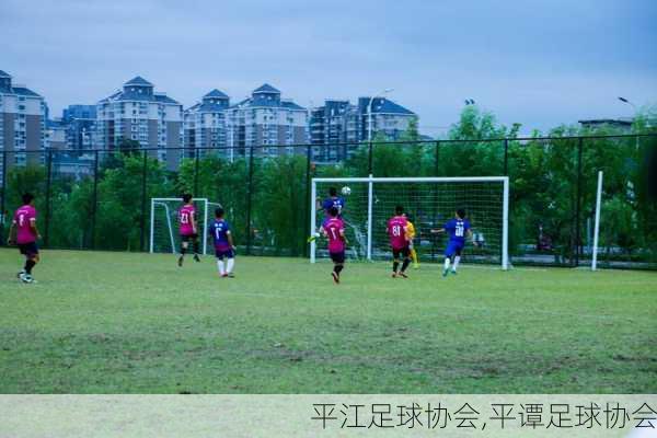 平江足球协会,平谭足球协会