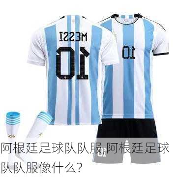 阿根廷足球队队服,阿根廷足球队队服像什么?