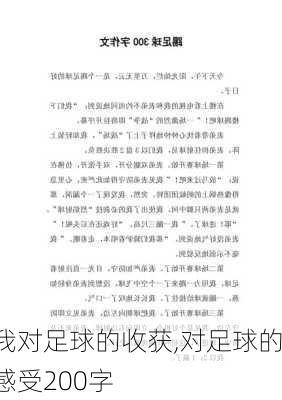 我对足球的收获,对足球的感受200字