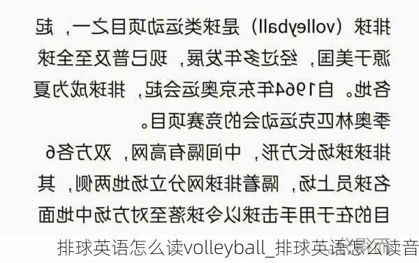 排球英语怎么读volleyball_排球英语怎么读音