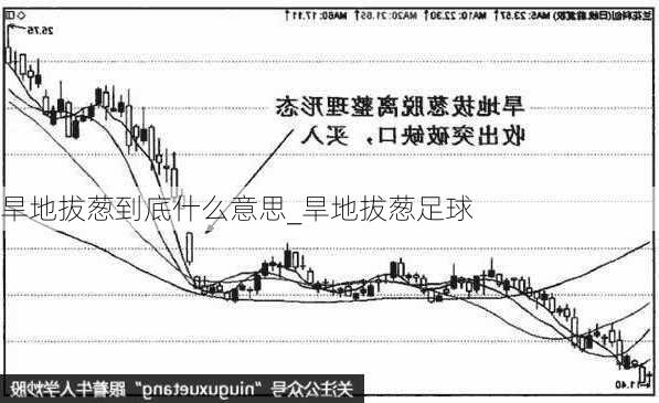 旱地拔葱到底什么意思_旱地拔葱足球