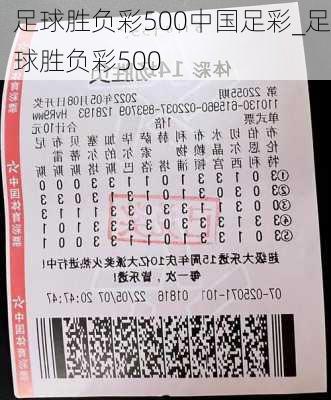 足球胜负彩500中国足彩_足球胜负彩500