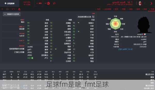 足球fm是啥_fmt足球