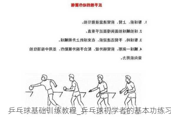 乒乓球基础训练教程_乒乓球初学者的基本功练习