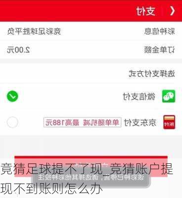 竟猜足球提不了现_竞猜账户提现不到账则怎么办