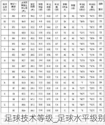 足球技术等级_足球水平级别