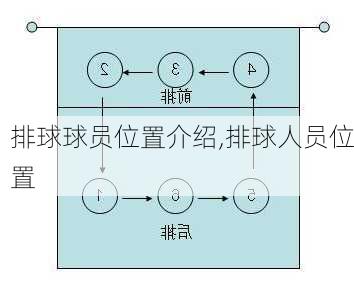 排球球员位置介绍,排球人员位置