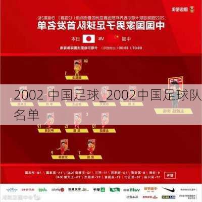 2002 中国足球_2002中国足球队名单