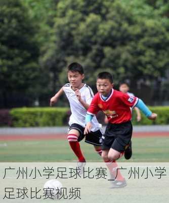 广州小学足球比赛_广州小学足球比赛视频