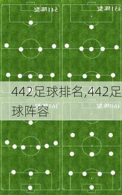 442足球排名,442足球阵容