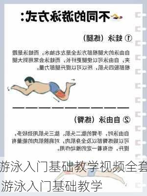 游泳入门基础教学视频全套,游泳入门基础教学