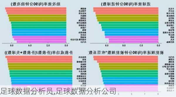 足球数据分析员,足球数据分析公司