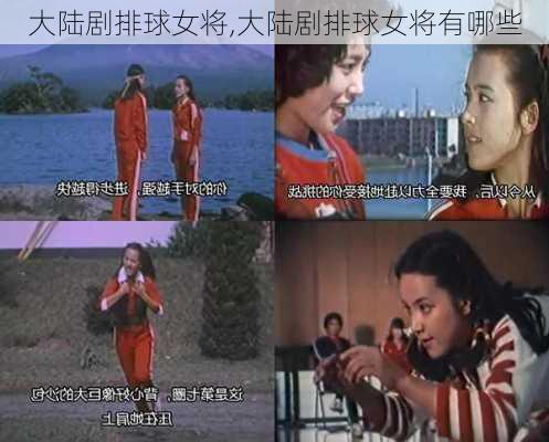 大陆剧排球女将,大陆剧排球女将有哪些