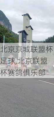 北京京城联盟杯足球,北京联盟杯赛鸽俱乐部