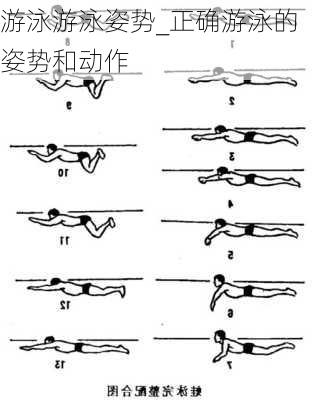 游泳游泳姿势_正确游泳的姿势和动作