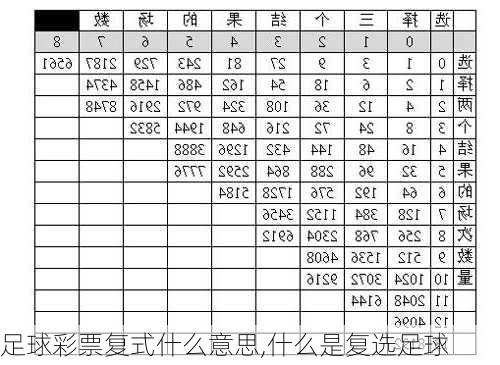 足球彩票复式什么意思,什么是复选足球