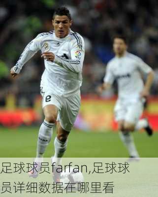 足球球员farfan,足球球员详细数据在哪里看