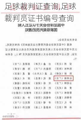 足球裁判证查询,足球裁判员证书编号查询