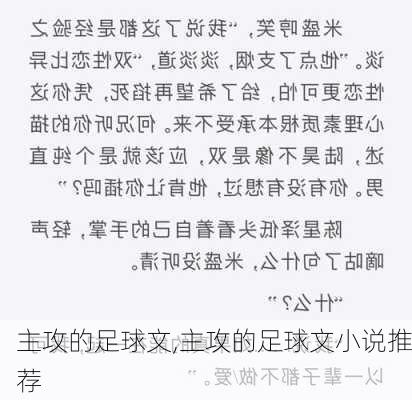 主攻的足球文,主攻的足球文小说推荐