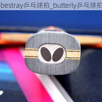 bestray乒乓球拍_butterly乒乓球拍