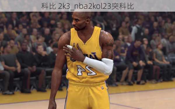 科比 2k3_nba2kol23突科比