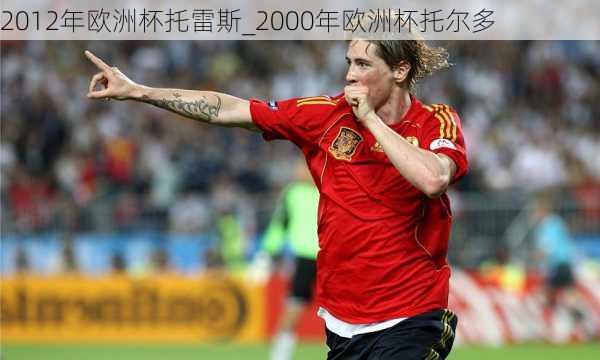 2012年欧洲杯托雷斯_2000年欧洲杯托尔多