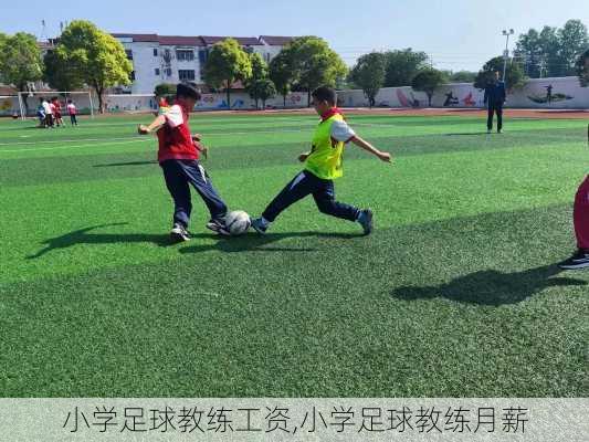 小学足球教练工资,小学足球教练月薪