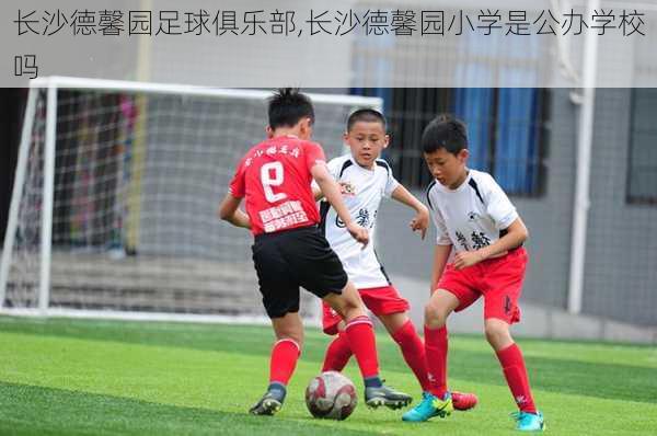 长沙德馨园足球俱乐部,长沙德馨园小学是公办学校吗