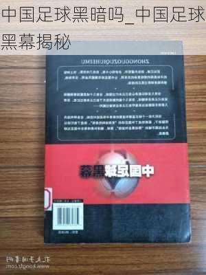 中国足球黑暗吗_中国足球黑幕揭秘