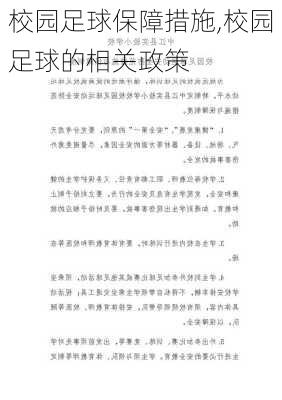 校园足球保障措施,校园足球的相关政策