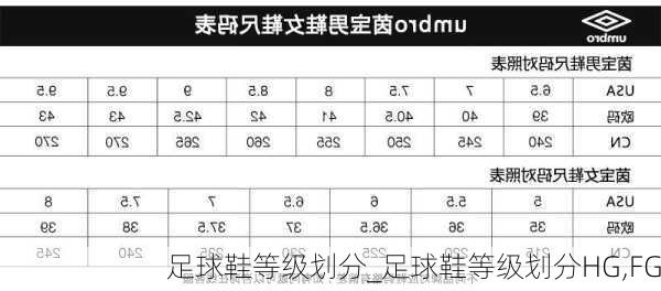 足球鞋等级划分_足球鞋等级划分HG,FG