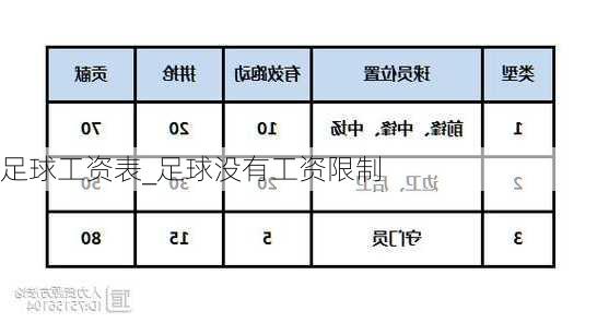 足球工资表_足球没有工资限制