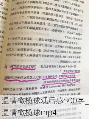 温情橄榄球观后感500字_温情橄榄球mp4