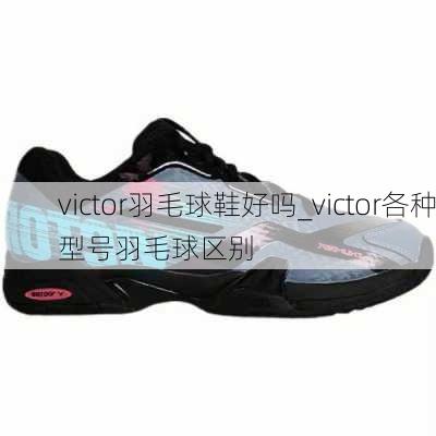 victor羽毛球鞋好吗_victor各种型号羽毛球区别