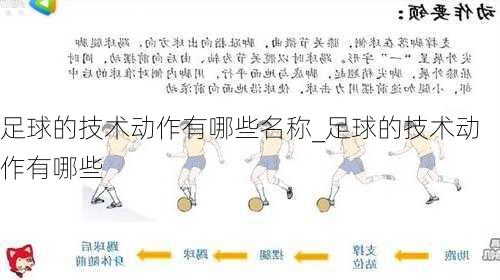 足球的技术动作有哪些名称_足球的技术动作有哪些