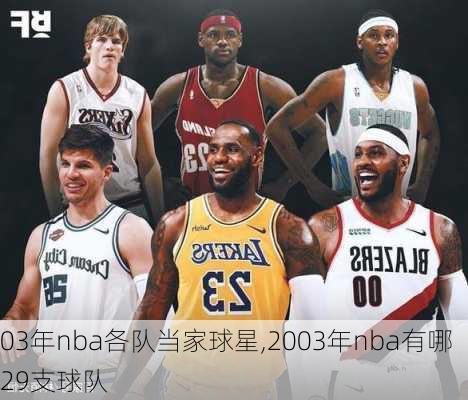 03年nba各队当家球星,2003年nba有哪29支球队