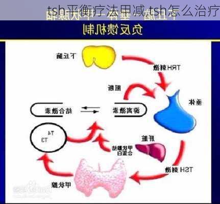 tsh平衡疗法甲减,tsh怎么治疗