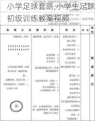 小学足球套路,小学生足球初级训练教案视频