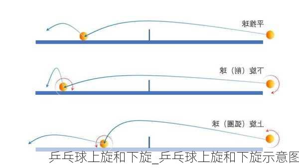 乒乓球上旋和下旋_乒乓球上旋和下旋示意图