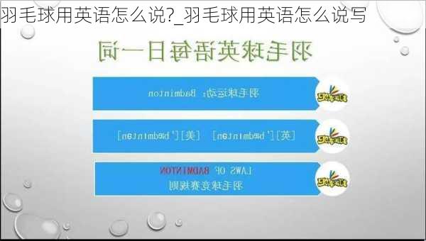 羽毛球用英语怎么说?_羽毛球用英语怎么说写