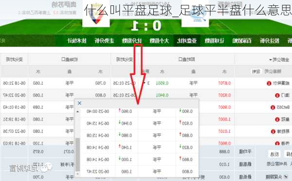 什么叫平盘足球_足球平半盘什么意思