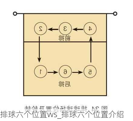 排球六个位置ws_排球六个位置介绍