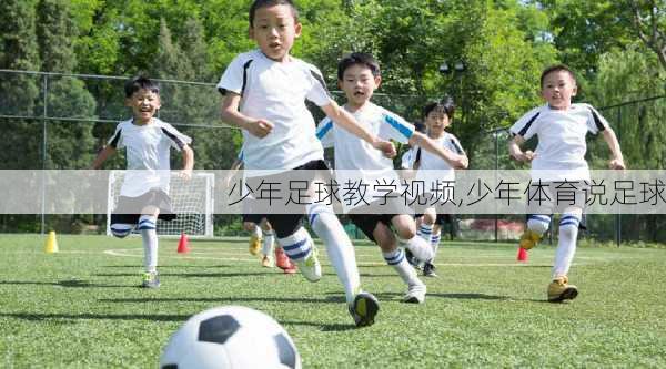 少年足球教学视频,少年体育说足球