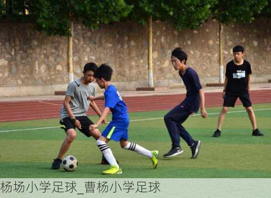 杨场小学足球_曹杨小学足球