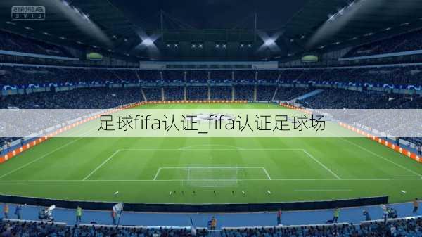 足球fifa认证_fifa认证足球场