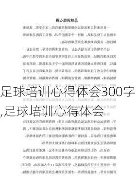 足球培训心得体会300字,足球培训心得体会