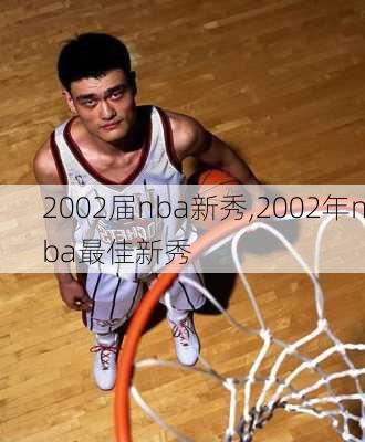 2002届nba新秀,2002年nba最佳新秀