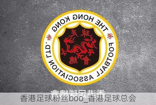 香港足球粉丝boo_香港足球总会