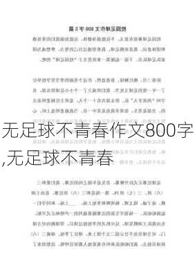 无足球不青春作文800字,无足球不青春